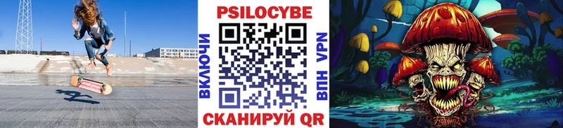 Псилоцибиновые грибы Psilocybe  Комсомольск 